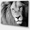 Designart - Lion Head in Grey - Animal Canvas Art Print